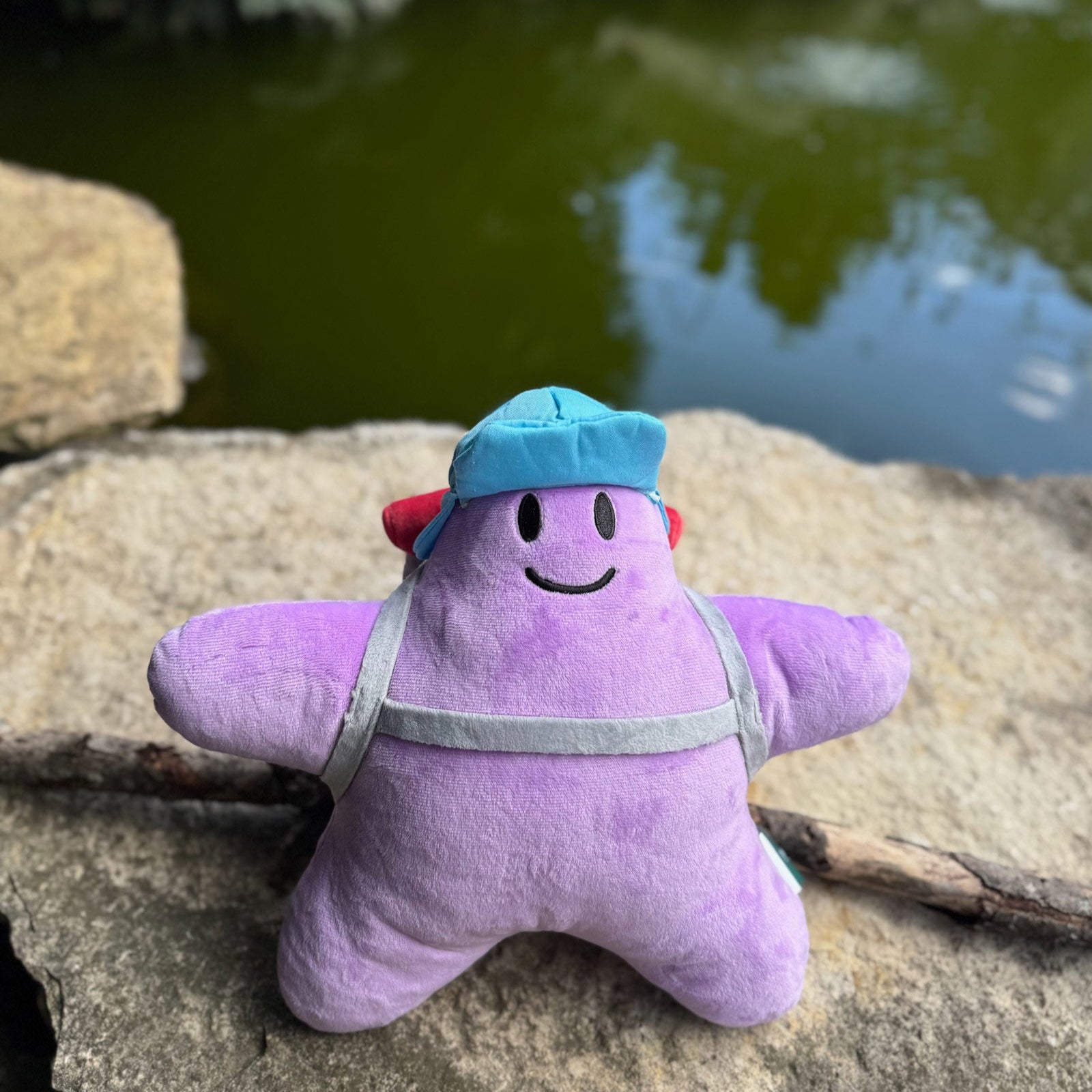 Super Sea Star Plushie – Wayfinder